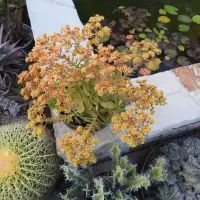 DSCN2719
